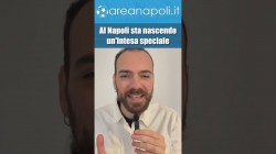 L'intesa speciale che sta nascendo nel Napoli