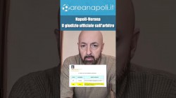 Napoli-Verona, arbitraggio promosso a pieni voti dall'Aia! La beffa